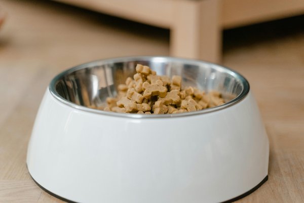Les croquettes pour chien : guide complet pour bien choisir